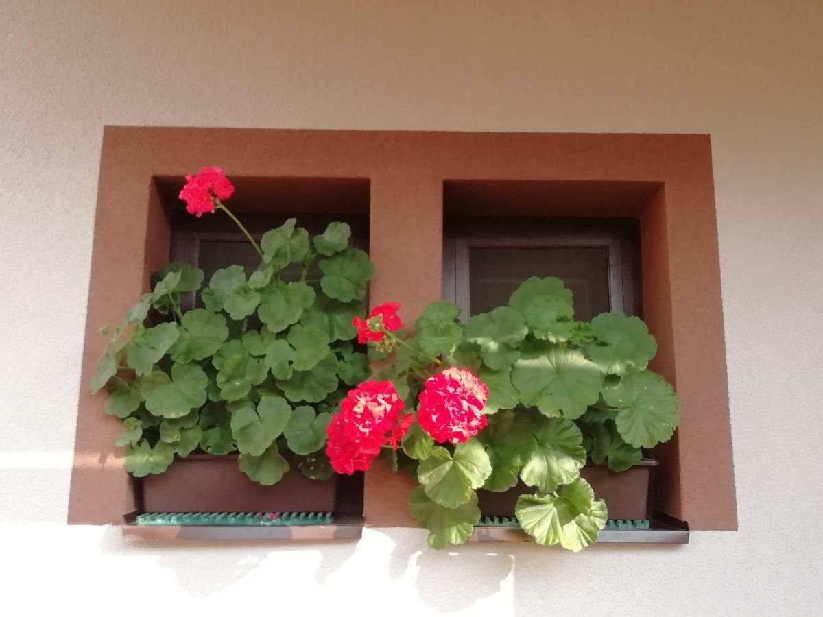 Privat Kovacova Villa Ziar Exterior photo